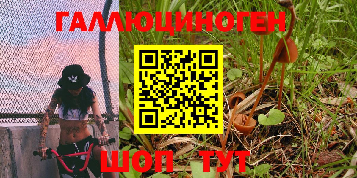 Псилоцибиновые грибы MAGIC MUSHROOMS  как найти наркотики  Вход с VPN  Канаш  Галлюциногенные грибы GOLDEN TEACHER 