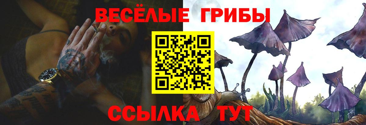 Галлюциногенные грибы Cubensis Канаш